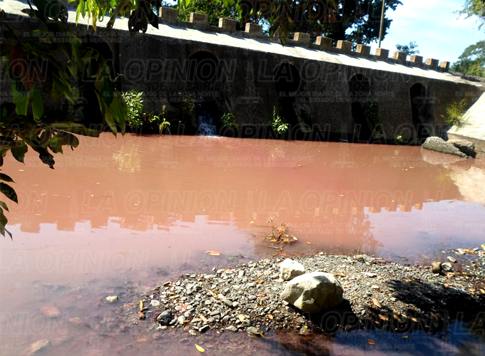 Arroyo se tiñe de rosa