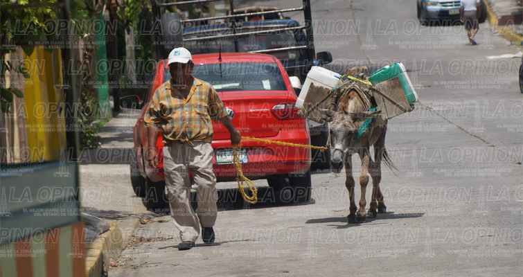 ¡Ola de calor!