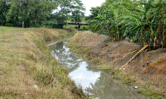 Canal Oro Verde será dragado