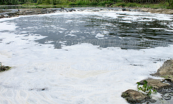 Contaminación ponen en riesgo el río Cazones