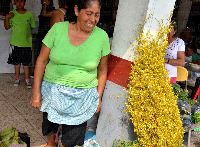 Sube venta de Flor de Mayo