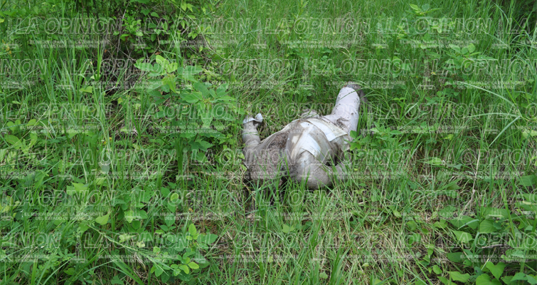 Hallan muerto a jornalero