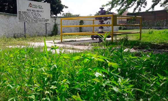 De pozo petrolero a criadero de dengue