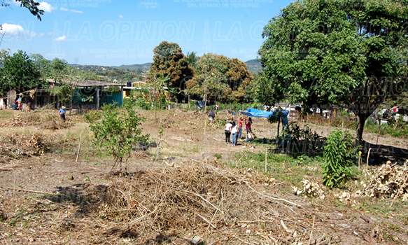 Desmantelan viviendas y desalojan un predio