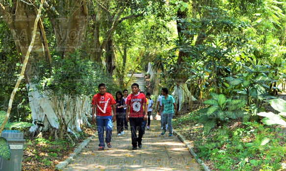 Curso de verano en el "Kiwikgolo"