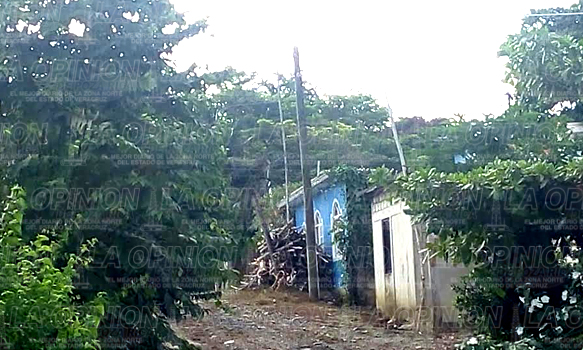 Peligro en Buena Vista por cables de alta tensión