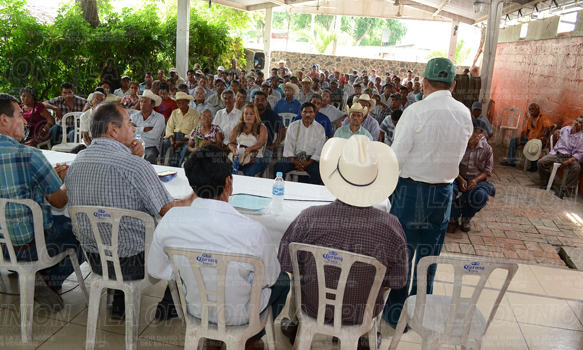 Basta de corrupción en Sanidad Vegetal