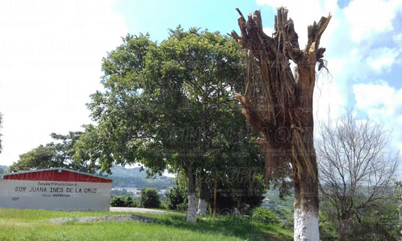 Sujetos desconocidos causan destrozos en escuela primaria
