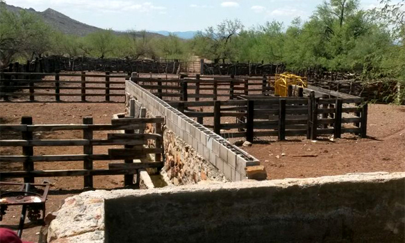 Ganaderos exigen más seguridad