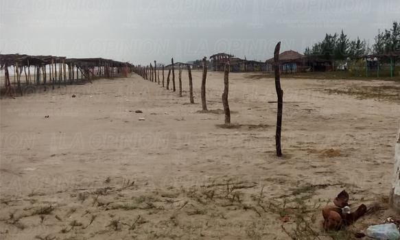 Ejidatarios atentan contra mangles