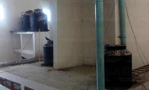 Locatarios exigen mantenimiento de locales