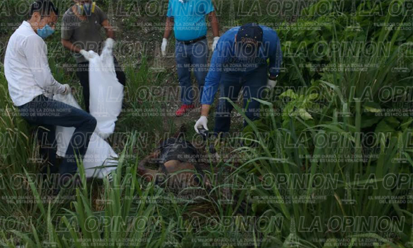 Hallan cuerpo putrefacto de una mujer