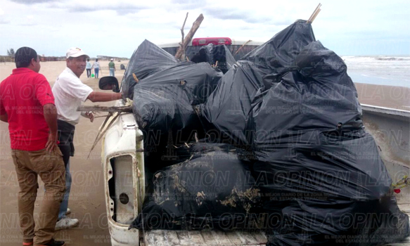 Embellecen las playas de Tamiahua