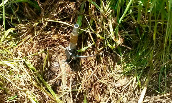 Hallan enésima toma clandestina en Xicotepec