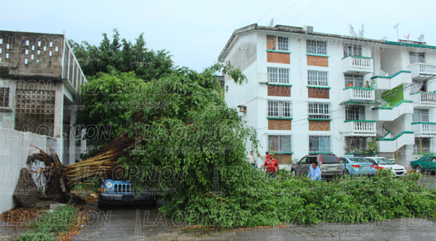 Sorpresiva lluvia deja afectaciones