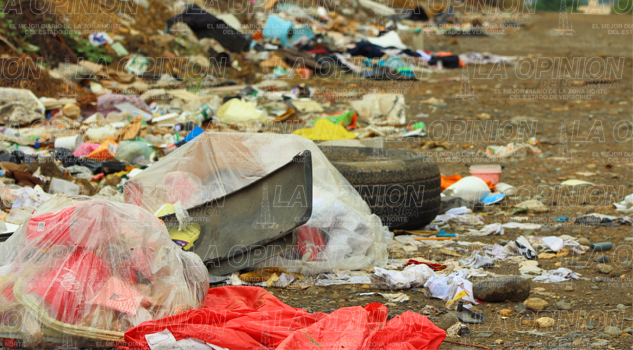 Basura, problema de salud pública