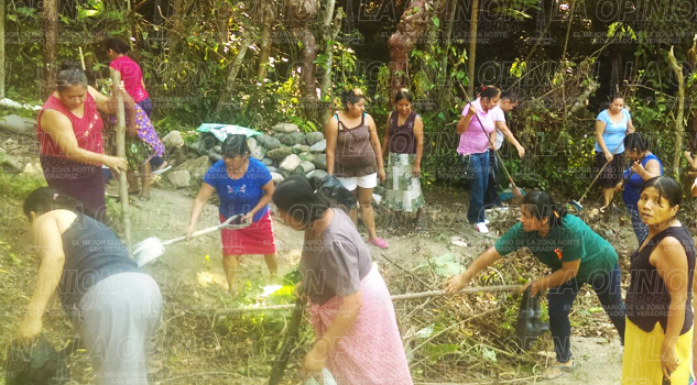 Comunidad Saludable Coyutla