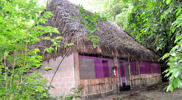 En el abandono el Consejo de Ancianos de la Sabiduría Ancestral