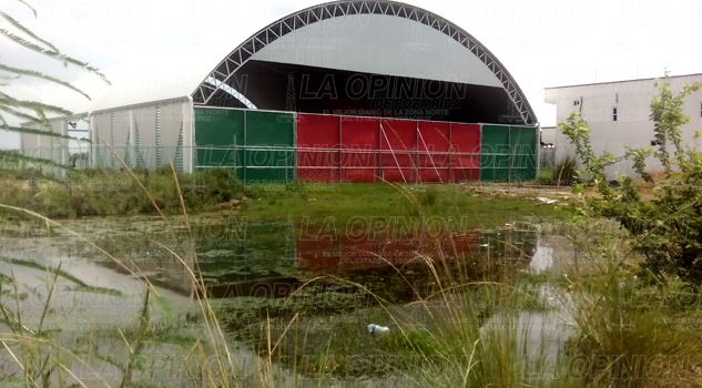 Criaderos de mosquito en plena vía pública