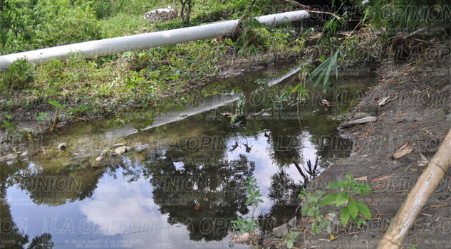 Contaminación de El Frijolillo deja sin agua a más de 2 mil habitantes