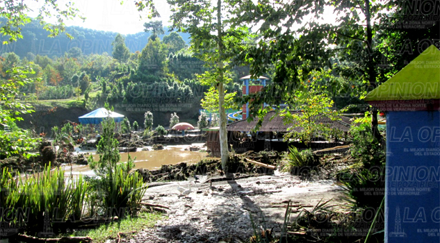 Earl los dejó sin trabajo