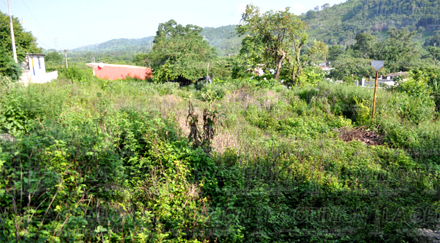 Quieren lotificar zona de riesgo
