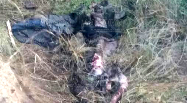 Hallan osamenta en Totalco, Perote