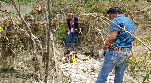 Aparecen restos humanos en el río Cazones