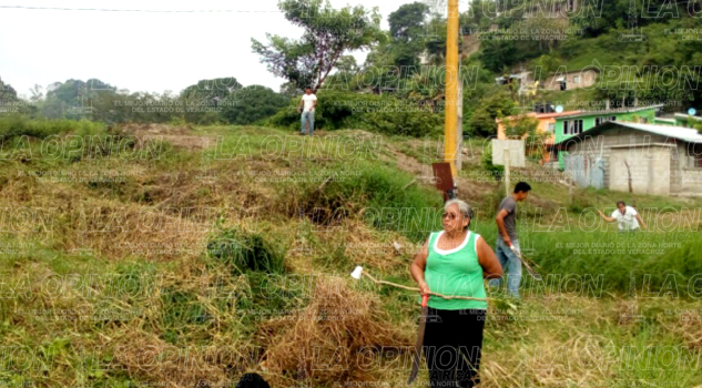 Terrenos de Pemex llenos de maleza Pemex Terrenos