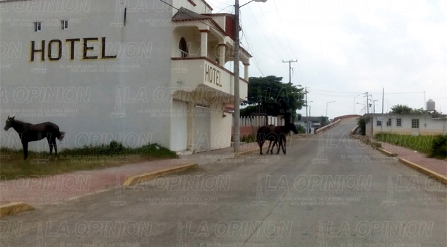 Playas en el abandono