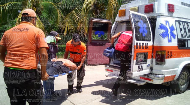 Abejas Piquetes Hombre