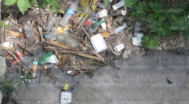 Arroyos saturados de basura arroyos-saturados-de-basura