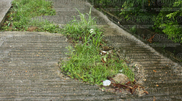 doble-socavon-sobre-la-calle-16-de-septiembre