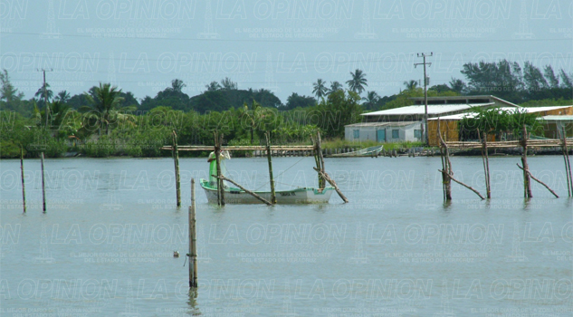 escasa-captura-de-camaron