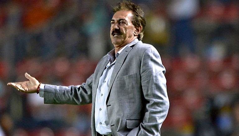 la-volpe-america