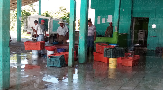 pescadores-esperan-apoyos-de-empleo-temporal