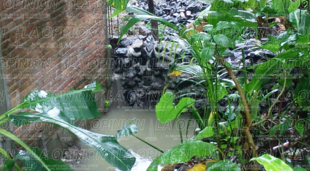 problemas-en-el-sector-coatzintla