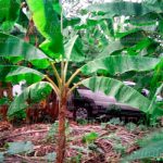 Encuentran unidad en la que se llevaron a los sacerdotes