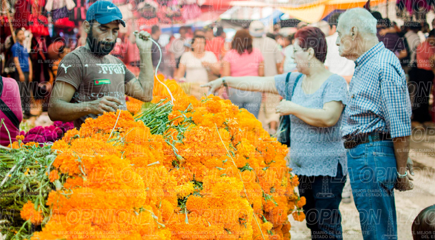 298-comerciantes-en-plaza-de-todos-santos