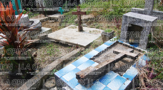 Abandonadas el 25% de las tumbas abandonadas-el-25-de-las-tumbas