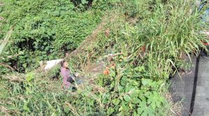 Encuentran cadáver putrefacto