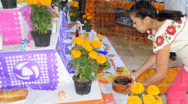 Cálida bienvenida a los muertos calida-bienvenida-a-los-muertos