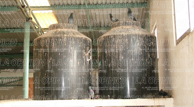 Fétidos olores en el mercado de Tamiahua fetidos-olores-en-el-mercado-de-tamiahua