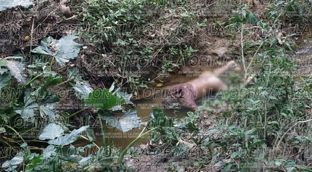 Hallan cadáver putrefacto hallan-cadaver-putrefacto