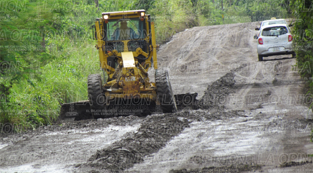 Liberan acceso a planta Tomza liberan-acceso-a-planta-tomza