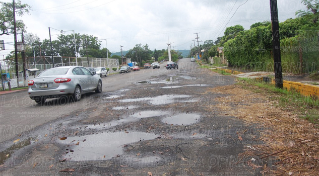 Ludyvina hunde a Cerro Azul ludyvina-hunde-a-cerro-azul