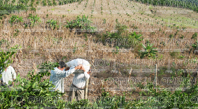 Quieren fuera a la Sedarpa quieren-fuera-a-la-sedarpa