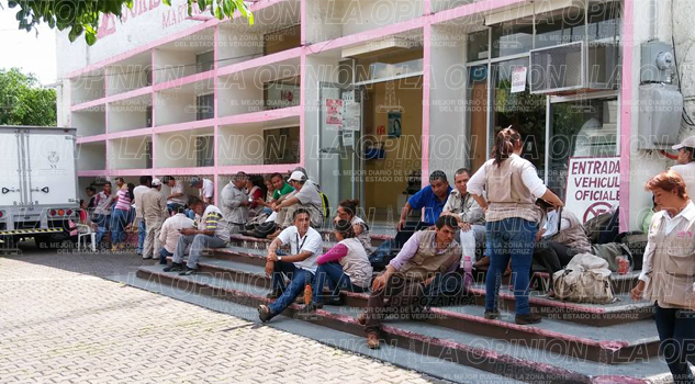 Reportan el primer caso de leishmaniasis reportan-el-primer-caso-de-leishmaniasis