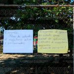 Persistirá paro de docentes del SNTE
