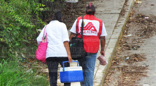 se-va-el-zika-y-llega-la-influenza